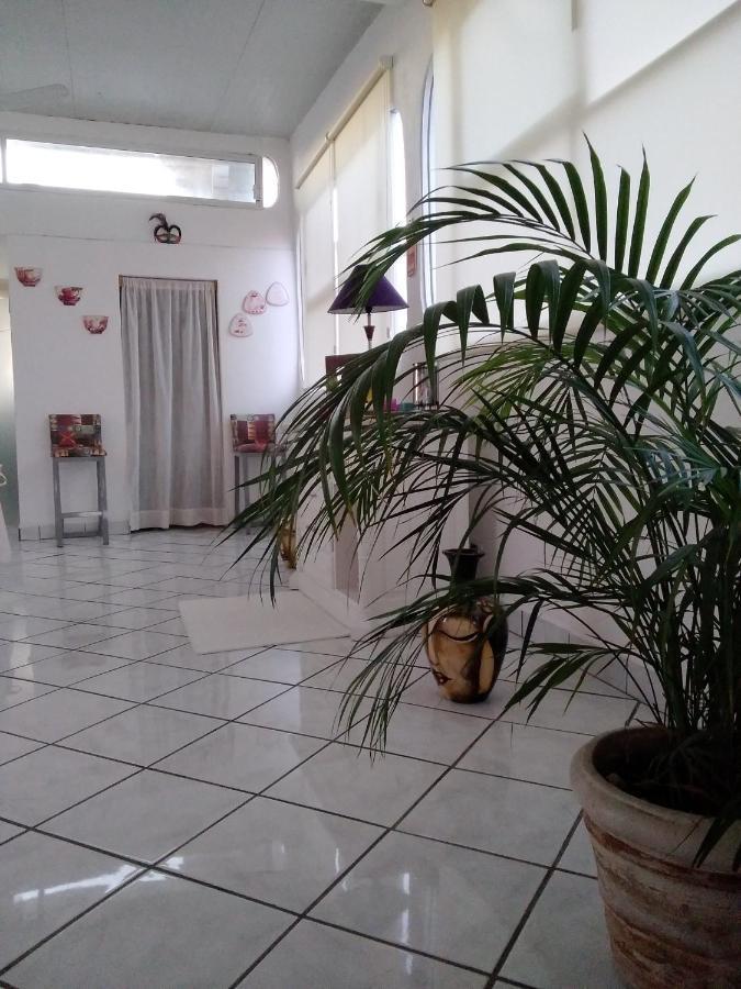 Boutique Basic Hotel 巴亞爾塔港 外观 照片