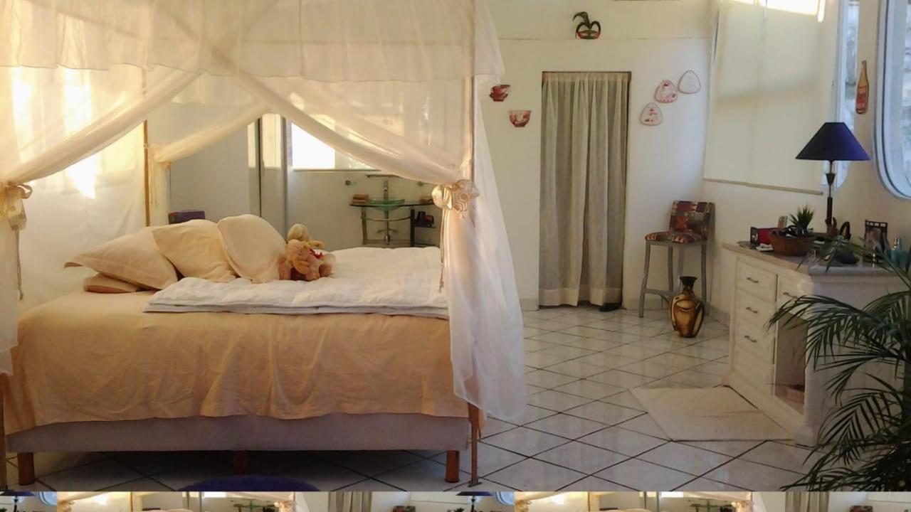 Boutique Basic Hotel 巴亞爾塔港 外观 照片