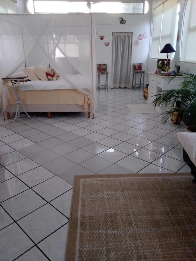 Boutique Basic Hotel 巴亞爾塔港 外观 照片
